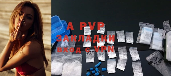 Альфа ПВП Аркадак