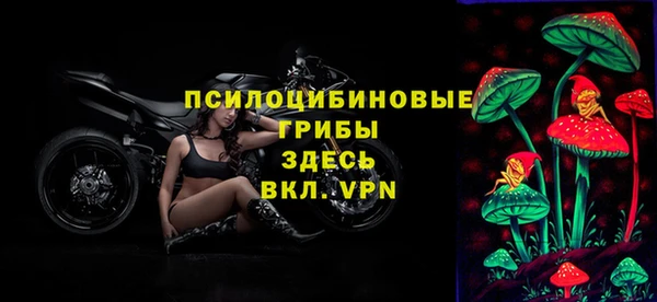 дживик Арсеньев