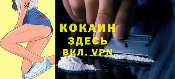 Альфа ПВП Аркадак