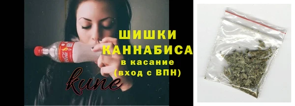 Альфа ПВП Аркадак